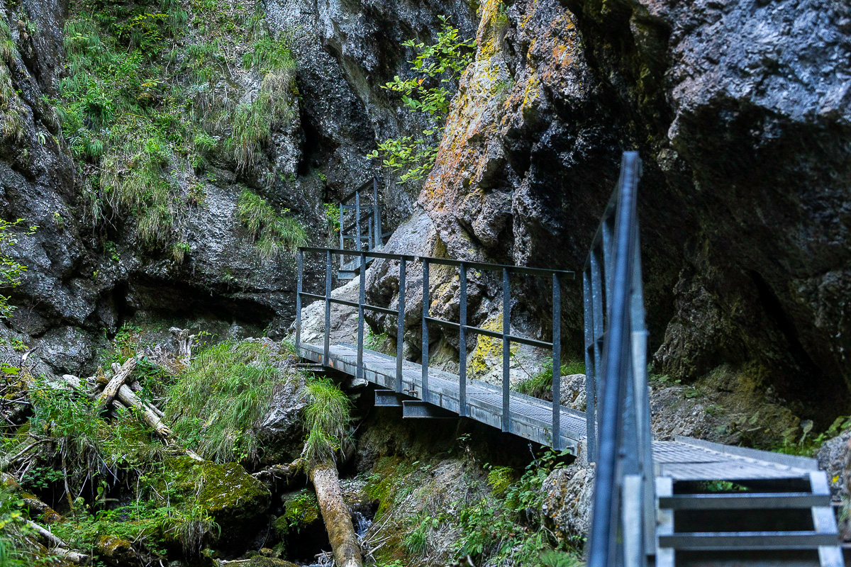 Úvod do Nových dier