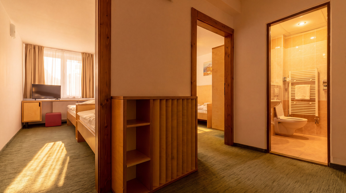 STANDARD 22 apartment - Hotel Diery
