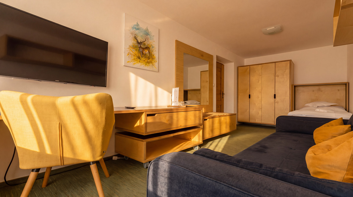 STANDARD 30 apartment - Hotel Diery